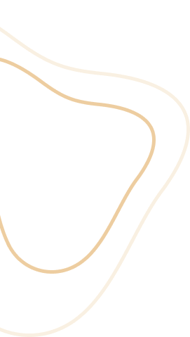 About Section Decorative Shape